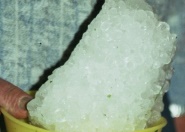 Hagelkörner
